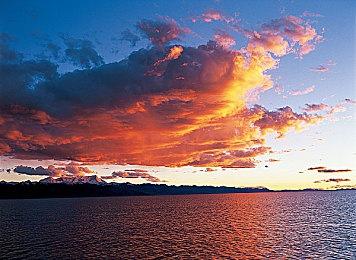 缺乏宣传 Capcom《祇：女神之道》销量未达预期